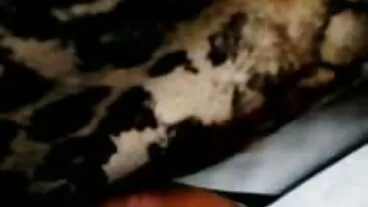 সেরা বিনামূল্যে ইংলিস চোদা চুদি লেসবিয়ান অশ্লীল রচনা সাইট