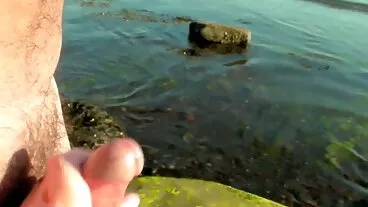 Y চোদাচুদি mp4