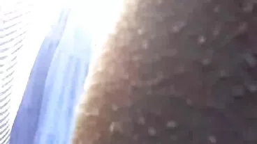 মেয়ে সমকামী, মেয়ে চোদাচুদি বই সমকামী