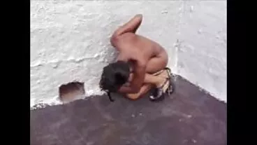 আমি কোথায় অশ্লীল সিনেমা কিনতে বাংলা চোদা চোদির বিডিও পারি